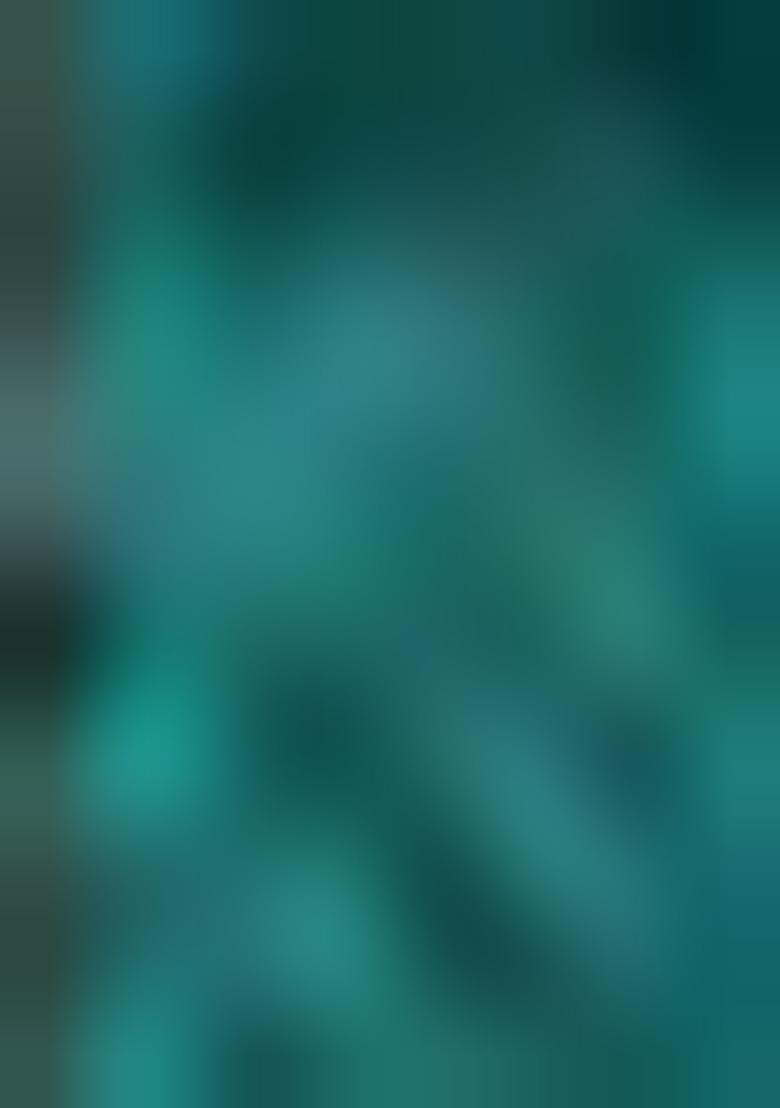 Teal Zari Woven Cotton Organza Saree Set