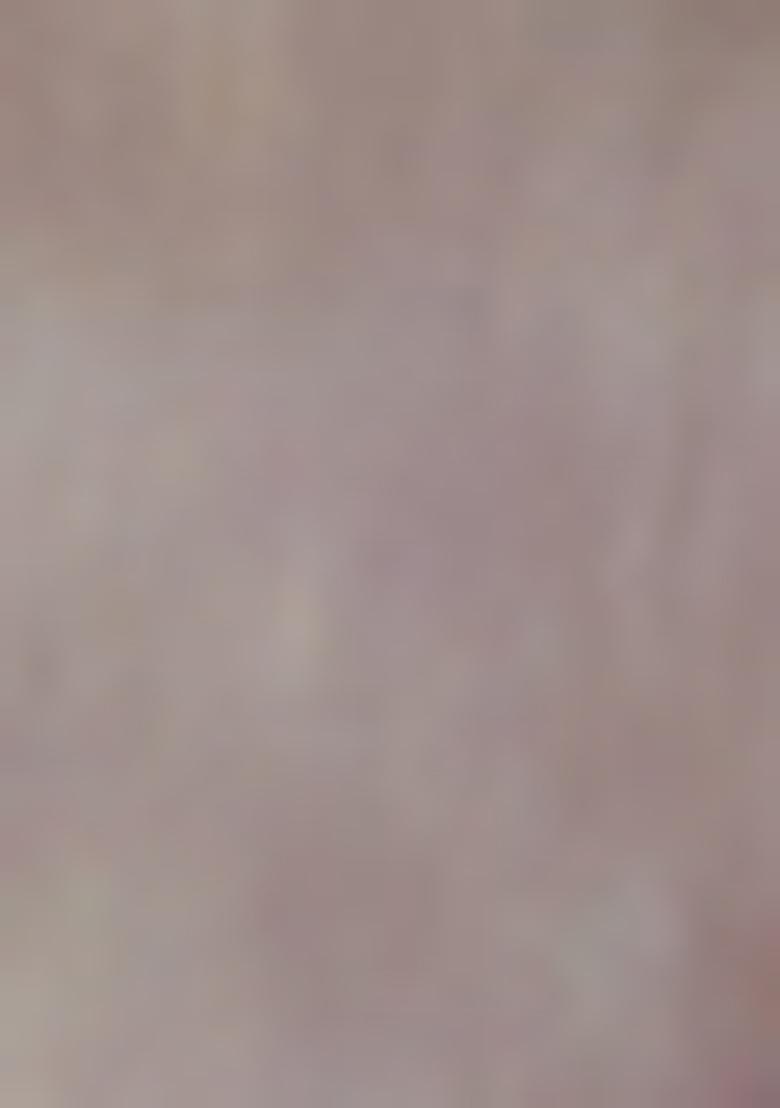 Peach Woven Digital Print Tissue Silk Saree Set