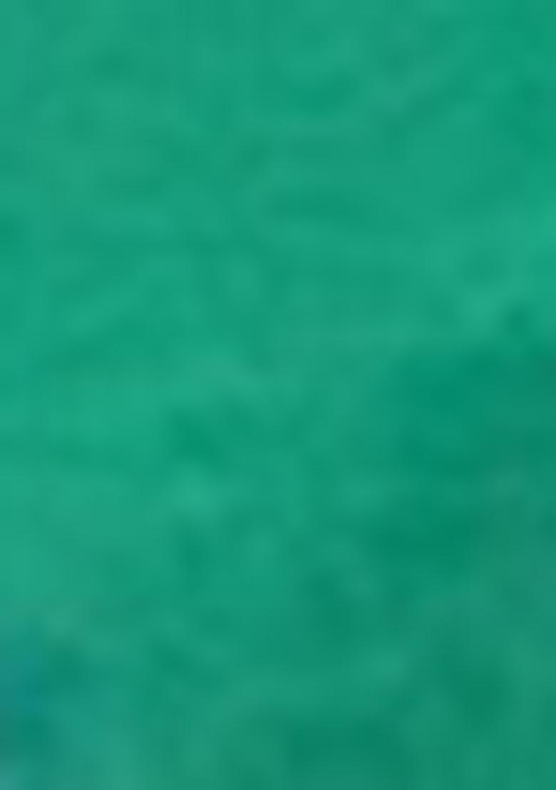 Green Zari Woven Patola Silk Saree Set