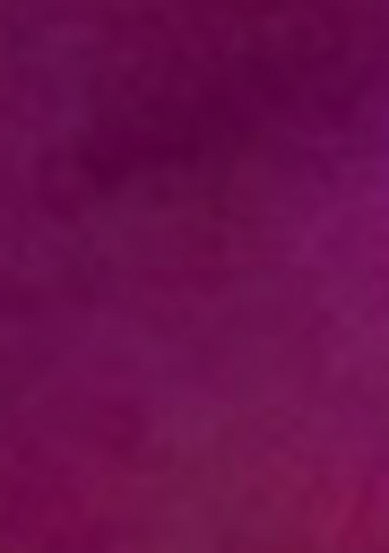 Purple Zari Woven Patola Silk Saree Set