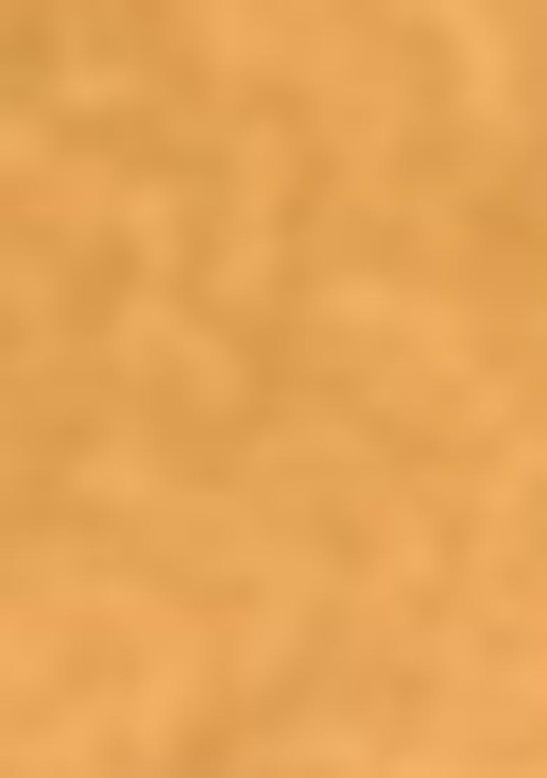 Yellow Zari Woven Patola Silk Saree Set