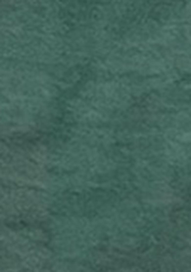 Green Zari Woven Soft Silk Saree Set