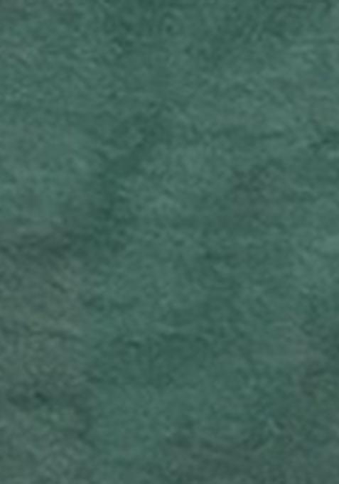 Green Zari Woven Soft Silk Saree Set