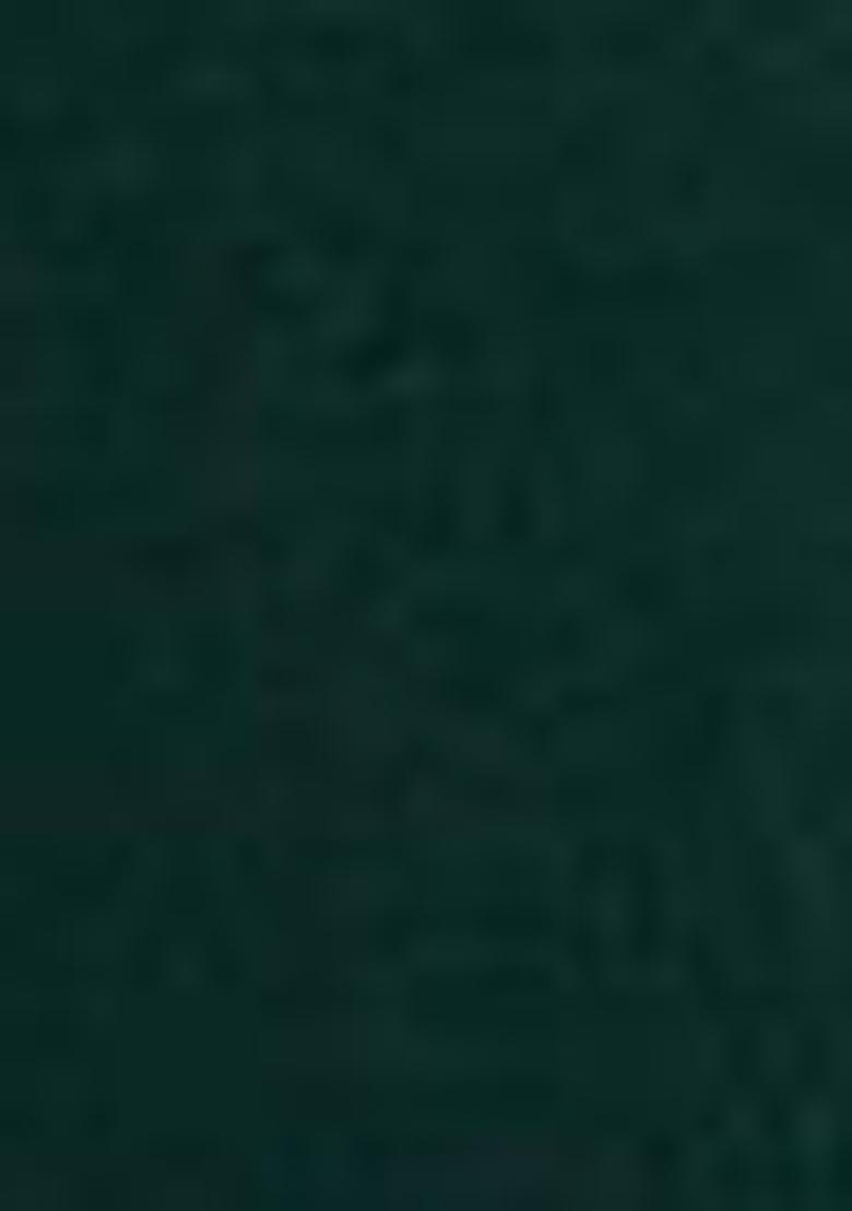 Green Zari Woven Dola Silk Saree Set