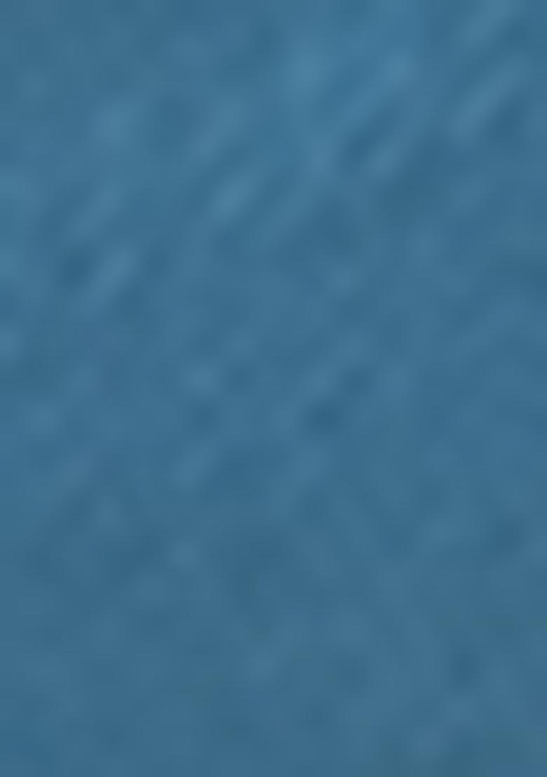 Blue Woven Bandhej Print Handloom Silk Saree Set