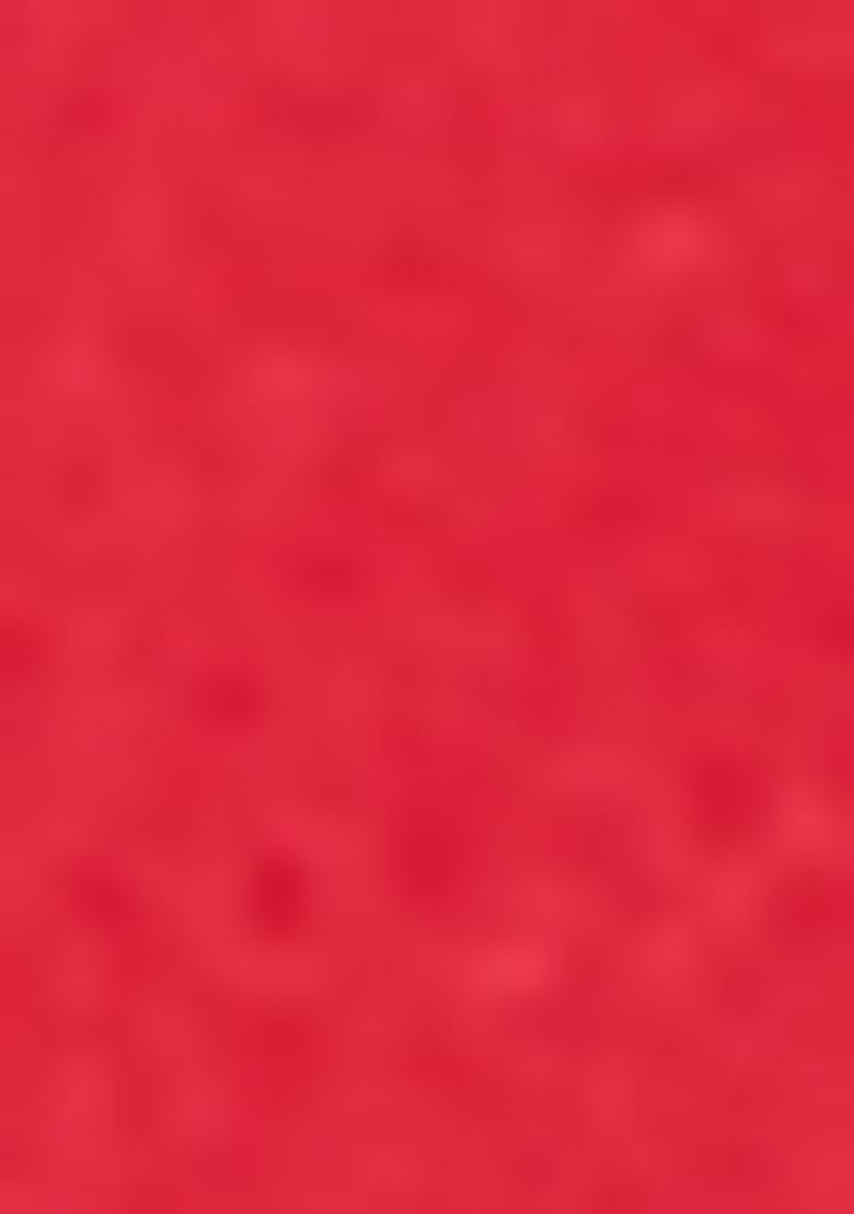 Red Woven Bandhej Print Handloom Silk Saree Set