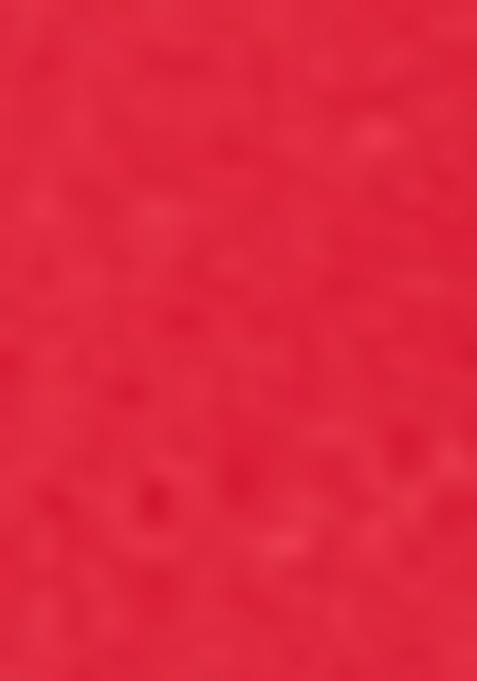 Red Woven Bandhej Print Handloom Silk Saree Set