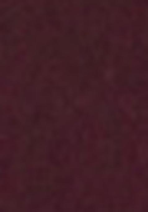 Wine Sequin Thread Embroidered Rangoli Silk Saree Set