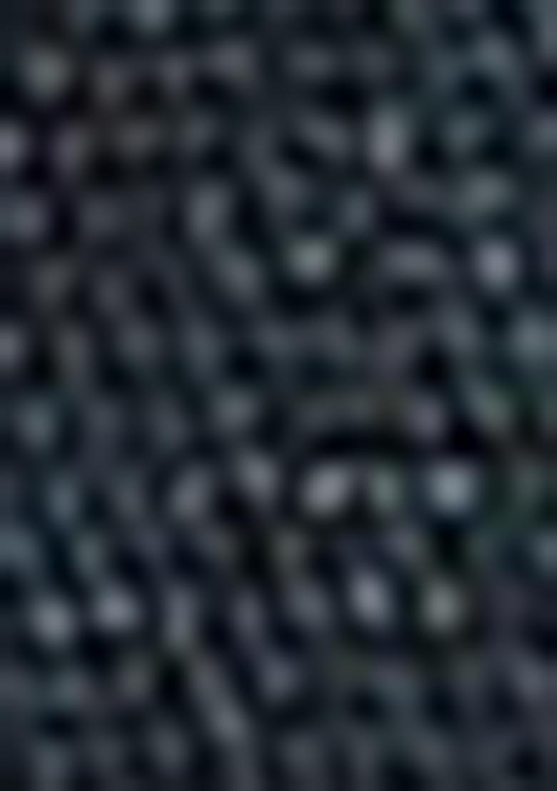 Teal Blue Sequin Thread Embroidered Rangoli Silk Saree Set