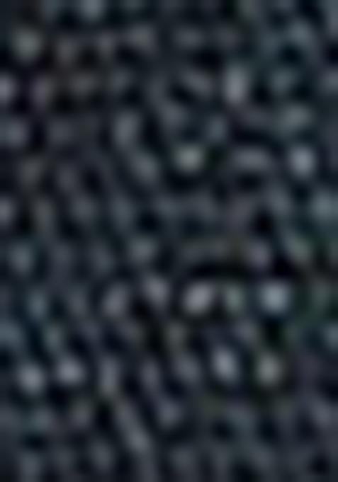 Teal Blue Sequin Thread Embroidered Rangoli Silk Saree Set