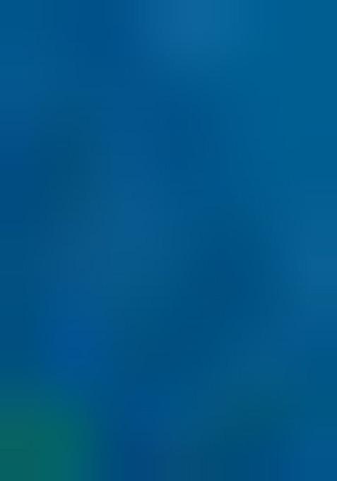 Firozi Zari Woven Handloom Silk Saree Set