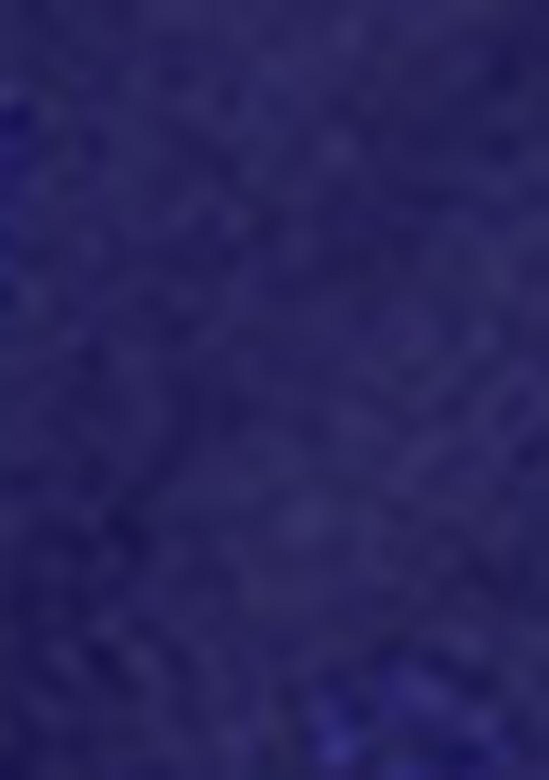 Navy Blue Zari Woven Handloom Silk Saree Set