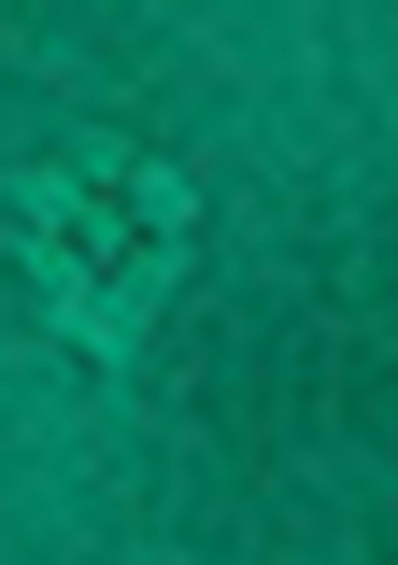 Green Zari Woven Handloom Silk Saree Set