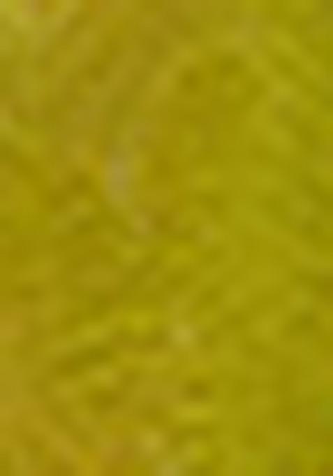 Mehendi Green Zari Woven Handloom Silk Saree Set