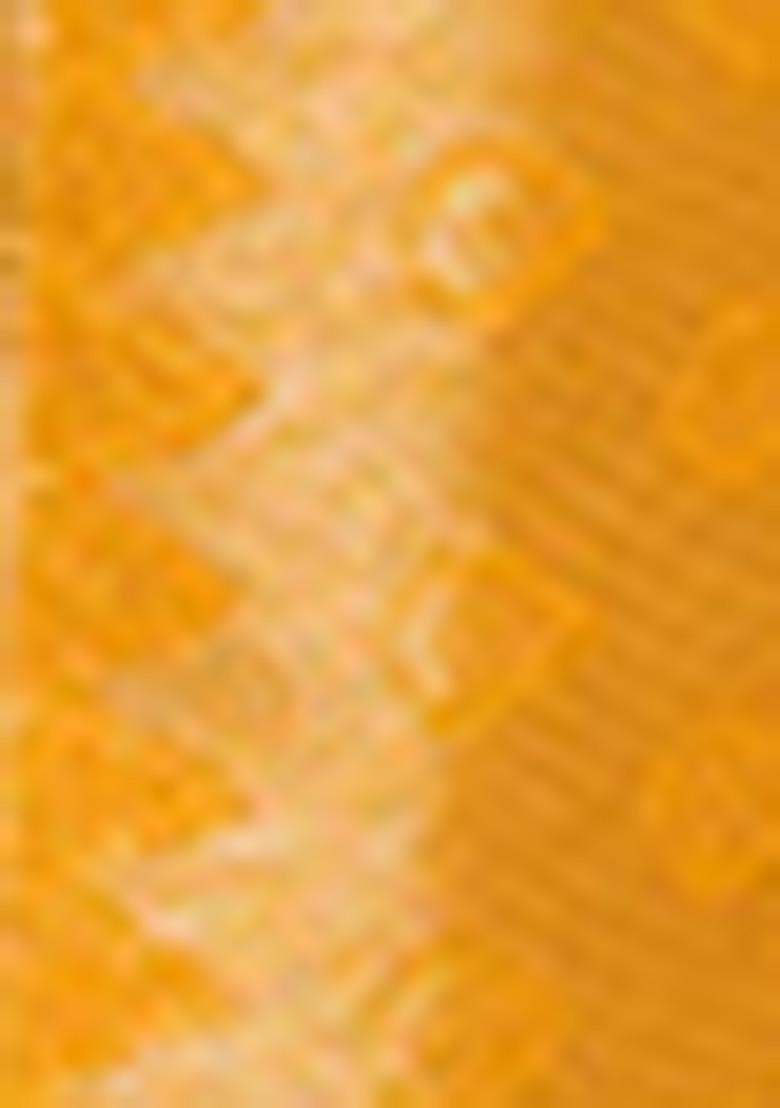 Mustard Zari Woven Handloom Silk Saree Set