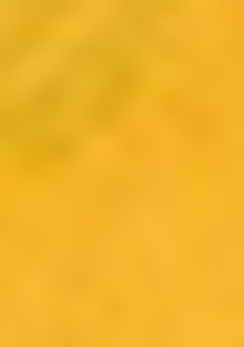 Yellow Meenakari Woven Paithani Silk Saree Set