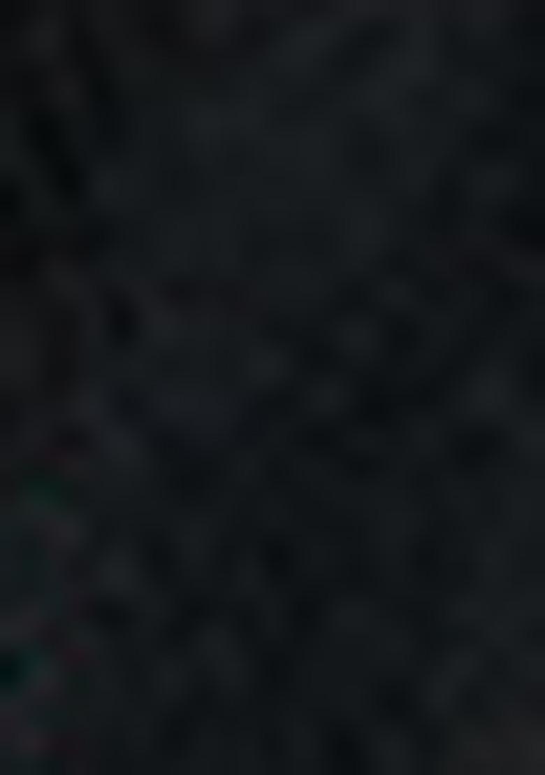 Black Meenakari Woven Paithani Silk Saree Set