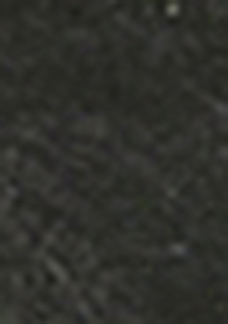 Green Zari Woven Georgette Saree Set