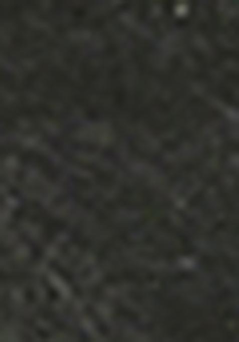 Green Zari Woven Georgette Saree Set