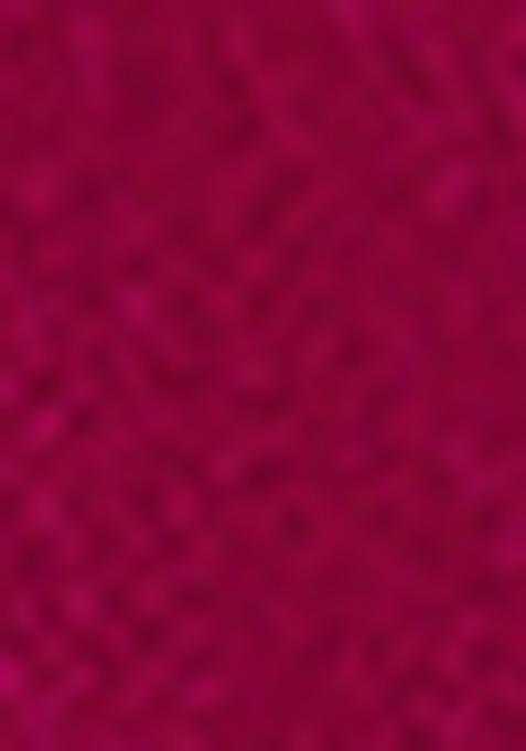 Pink Zari Woven Georgette Saree Set