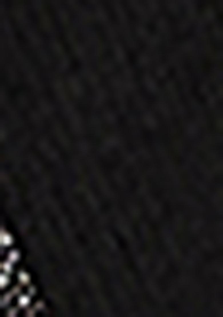 Black Zari Woven Georgette Saree Set