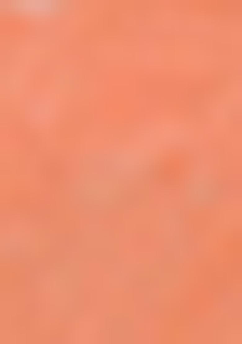 Orange Prizam Print Embroidered Georgette Saree Set