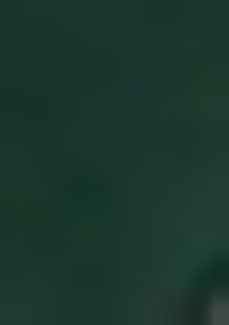 Green Leheriya Print Embroidered Georgette Saree Set