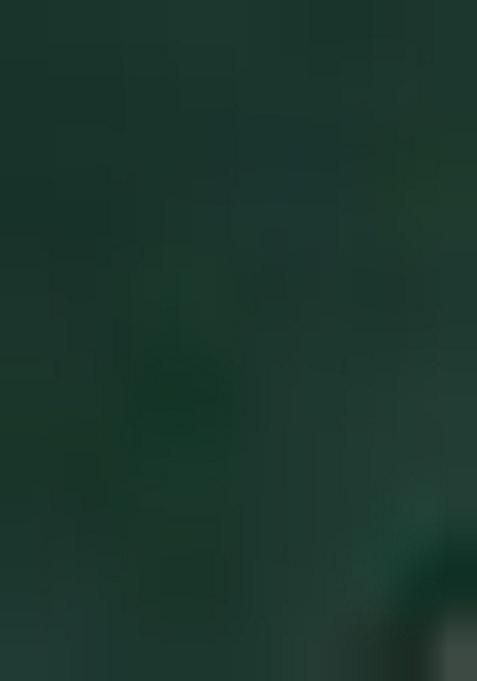 Green Leheriya Print Embroidered Georgette Saree Set