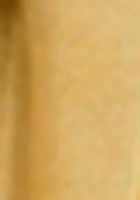 Yellow Sequin Thread Embroidered Net Saree Set