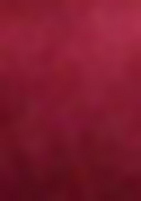 Maroon Leheriya Print Embroidered Georgette Saree Set