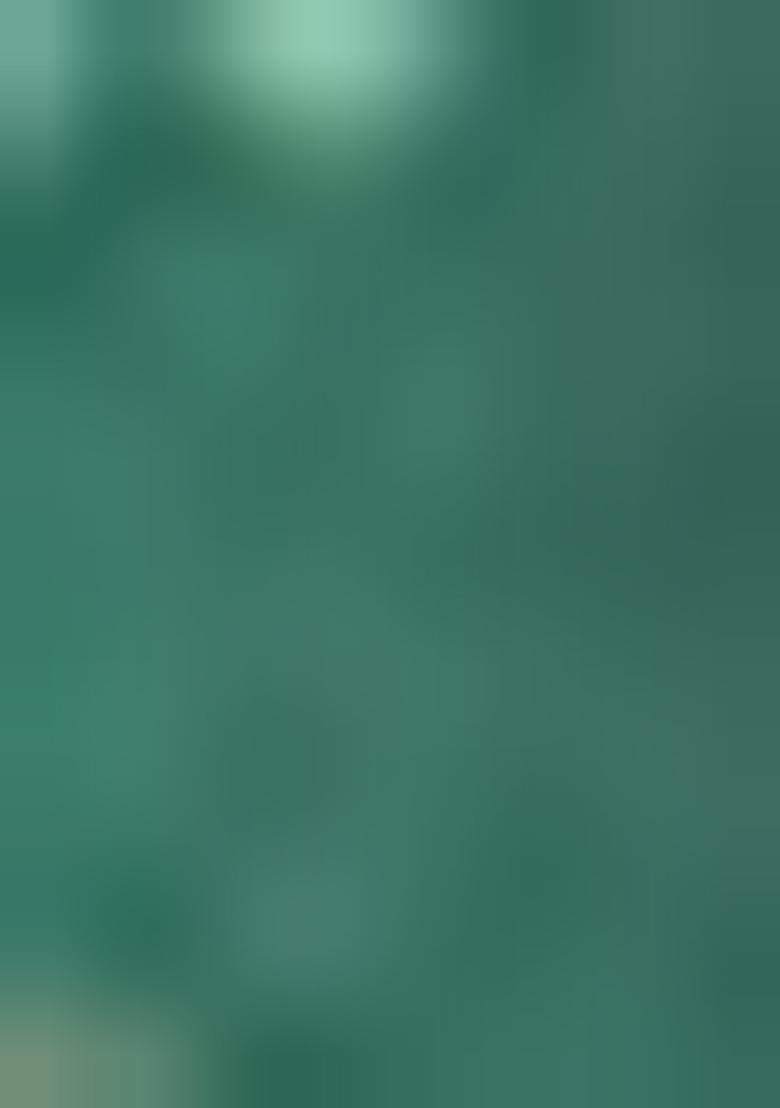 Rama Blue Zari Woven Kalamkari Silk Saree Set