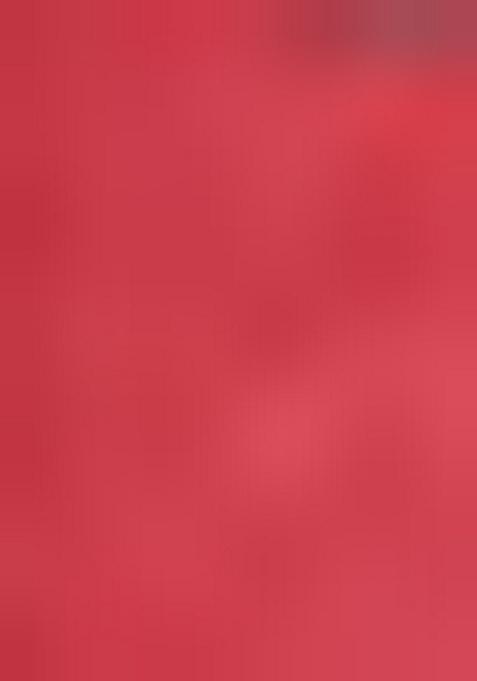 Red Zari Woven Kalamkari Silk Saree Set