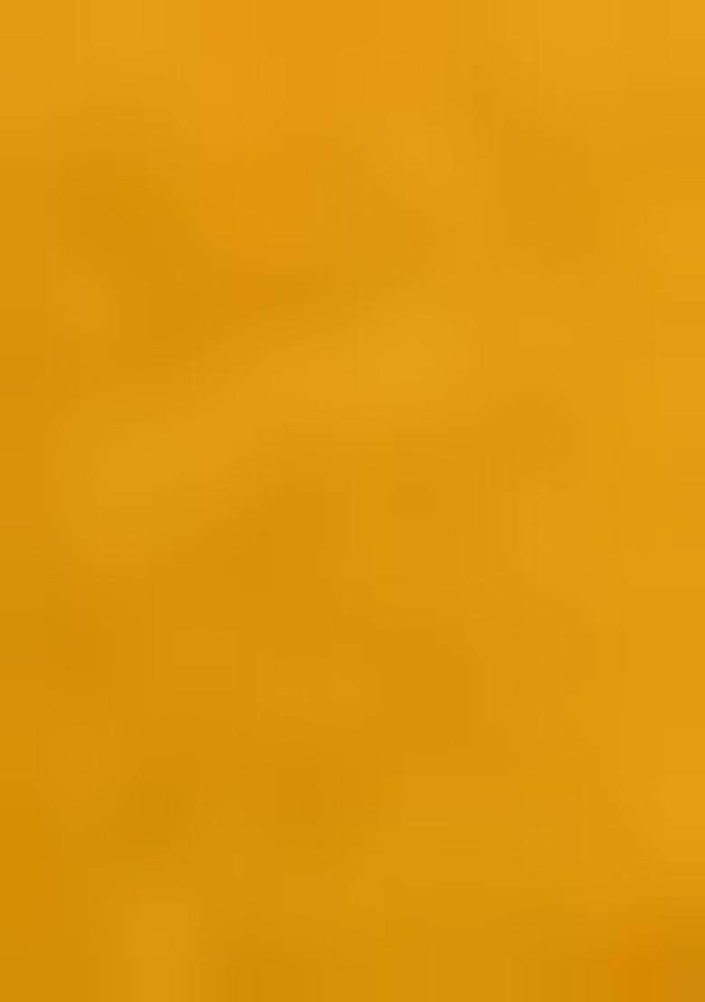 Yellow Zari Woven Kalamkari Silk Saree Set