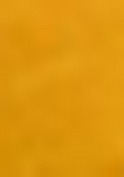 Yellow Zari Woven Kalamkari Silk Saree Set