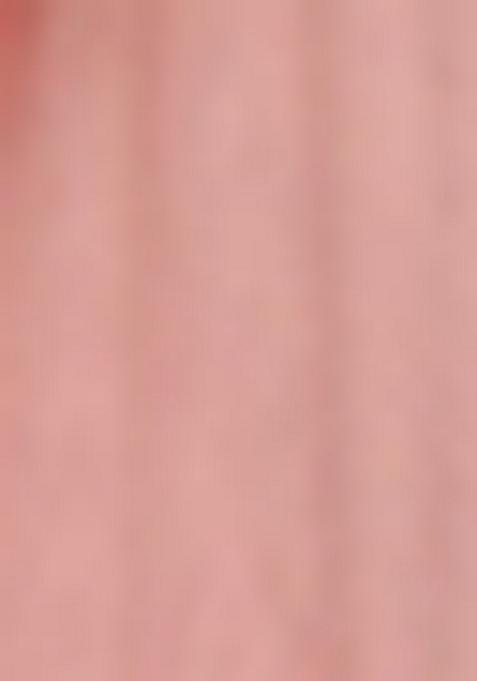 Peach Sequin Thread Embroidered Net Saree Set