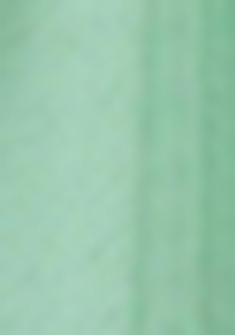 Mint Green Sequin Thread Embroidered Net Saree Set