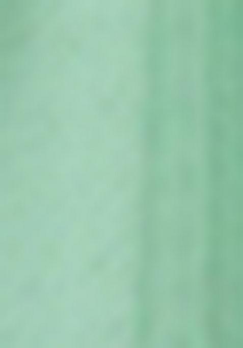 Mint Green Sequin Thread Embroidered Net Saree Set