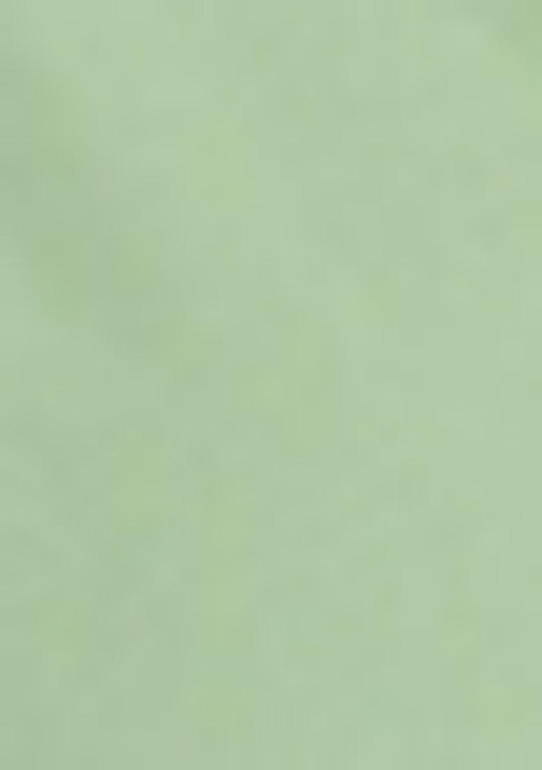 Pista Green Sequin Embroidered Shimmer Georgette Saree Set