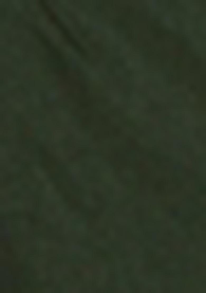 Olive Sequin Embroidered Shimmer Georgette Saree Set