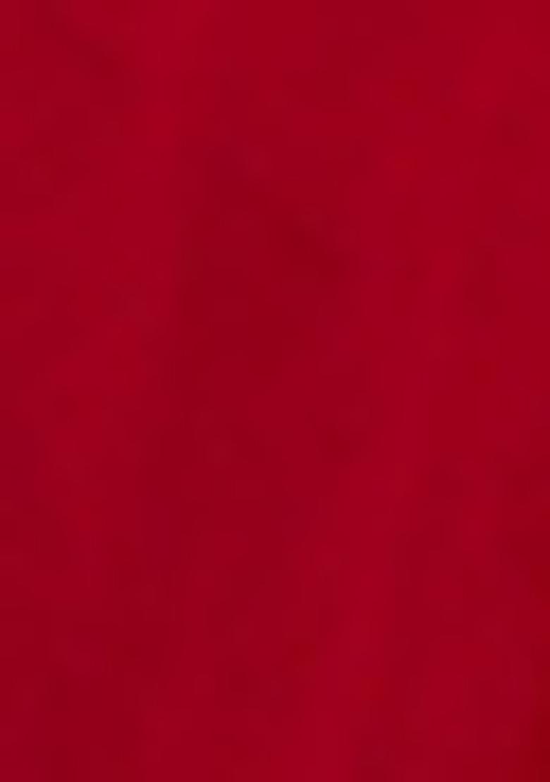 Red Printed Organza Saree Set