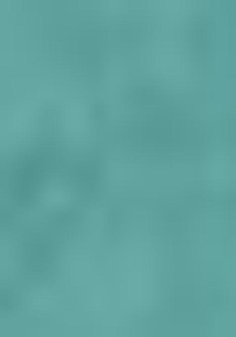 Sea Green Printed Poly Blend Saree Set