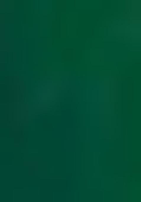 Green And Red Zari Woven Silk Saree Set