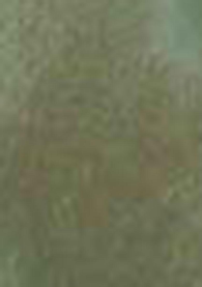 Sky Blue And Green Embroidered Dola Viscose Silk Saree Set