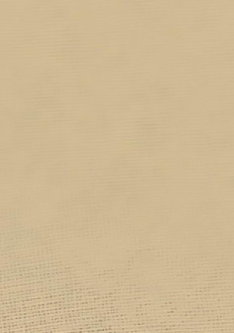 Beige Thread Embroidered Soft Net Saree Set