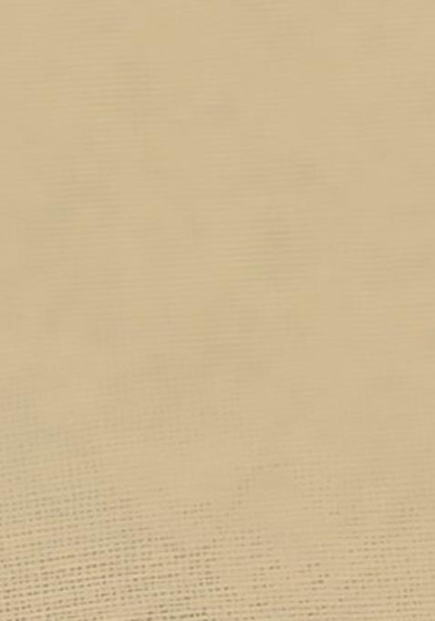 Beige Thread Embroidered Soft Net Saree Set