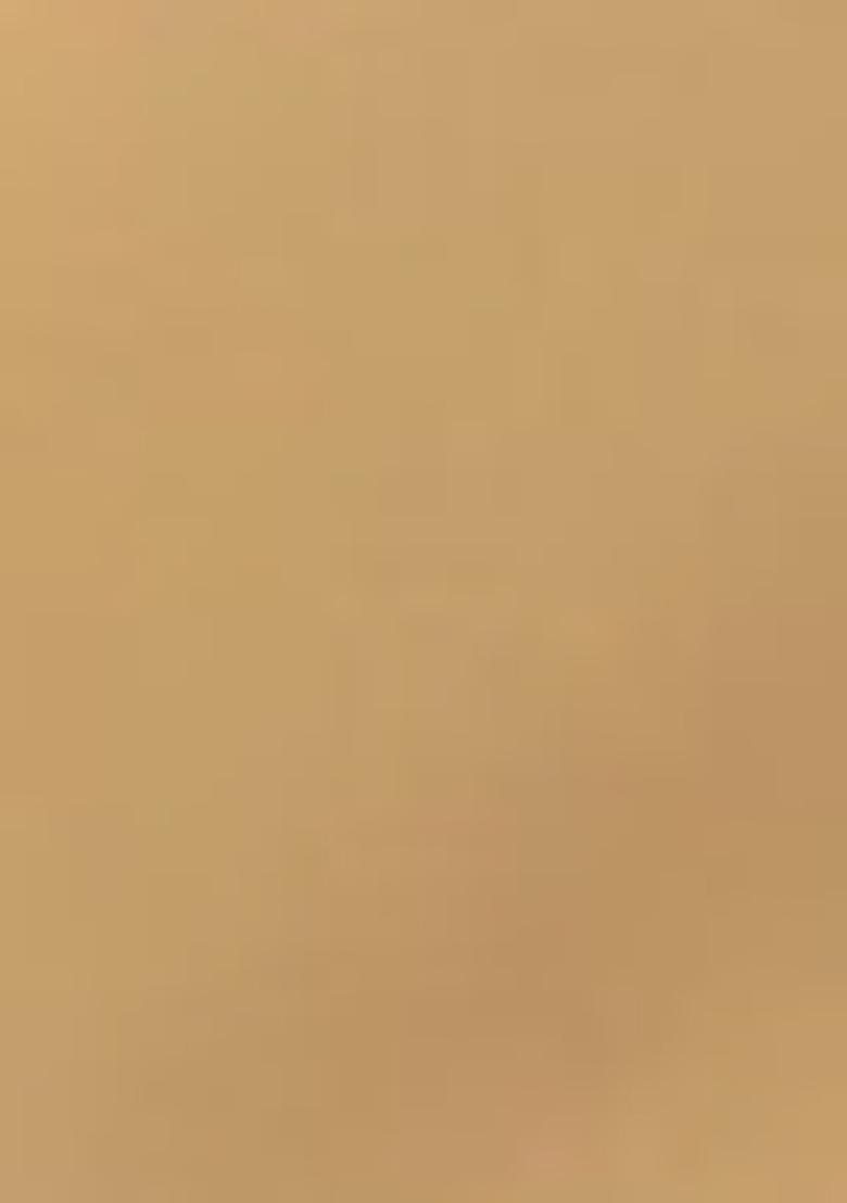 Yellow Zari Woven Pashmina Silk Saree Set