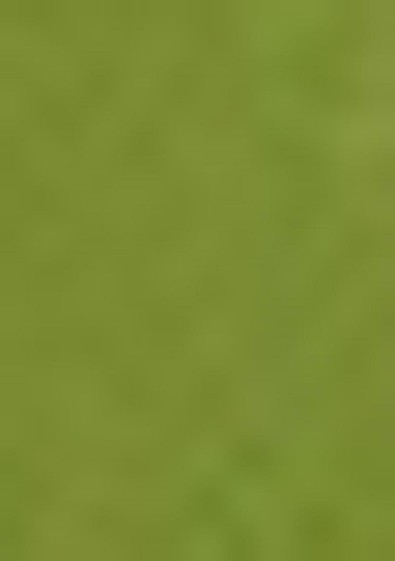 Green Zari Woven Tissue Saree Set