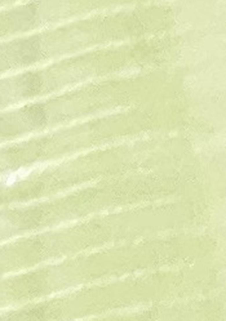 Green Sequin Embroidered Shimmer Silk Saree Set