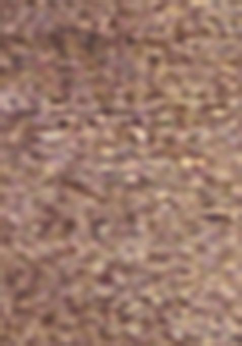 Brown Zari Woven Viscose Tissue Saree Set