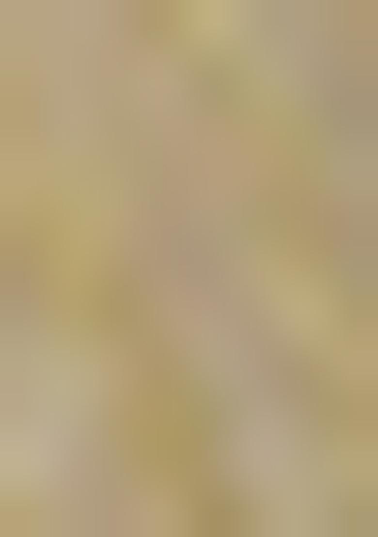 Chiku Brown Zari Woven Kanjivaram Saree Set